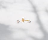 Ear Piercing Appointments: 133 W. Market St. West Chester, PA