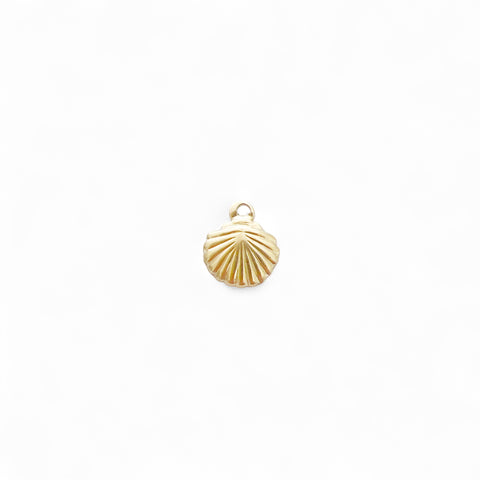 Small Shell Charm