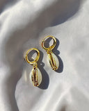 Cowrie Shell Hoops