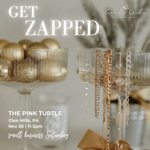 The Pink Turtle: 11/30 Glen Mills, PA