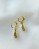 Cowrie Shell Hoops