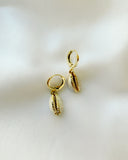 Cowrie Shell Hoops